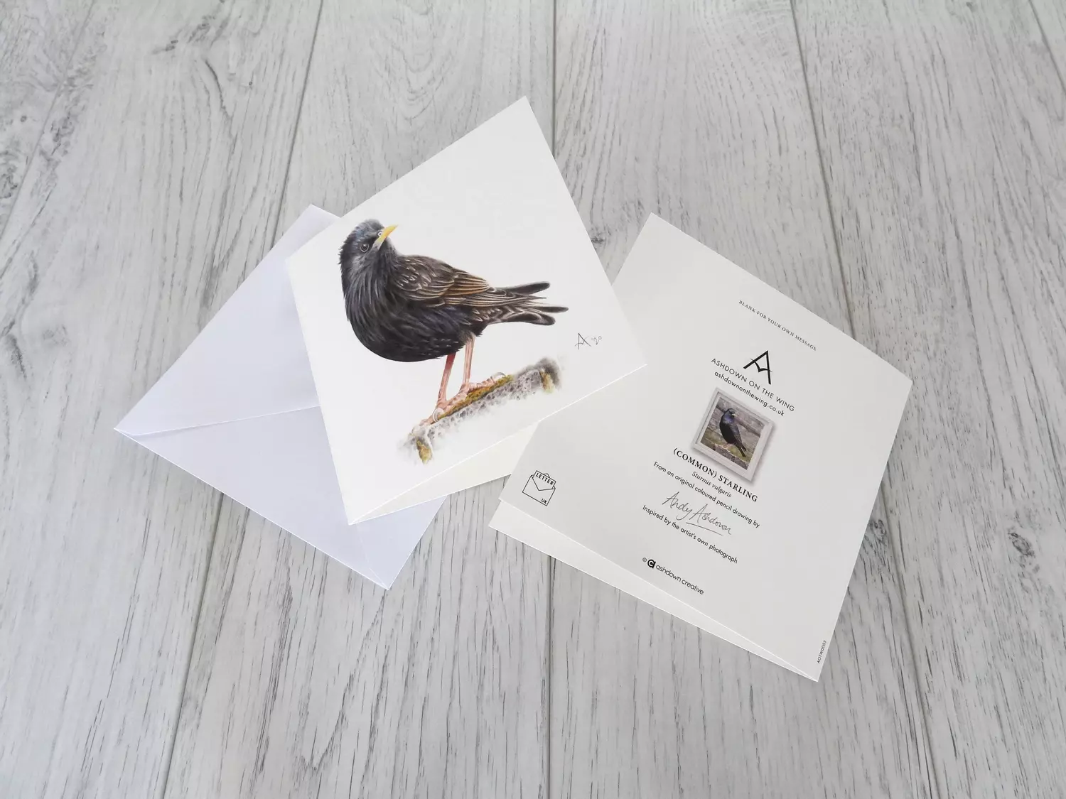 Starling Greetings Card and Envelope